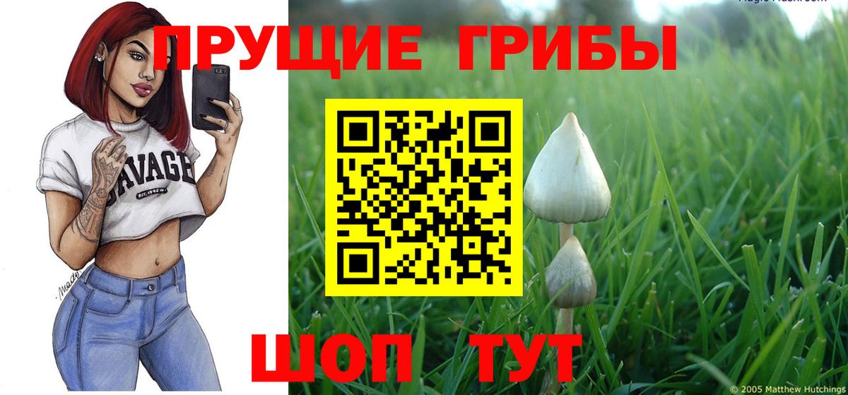 Псилоцибиновые грибы GOLDEN TEACHER Омск